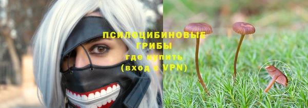 тгк Алексеевка