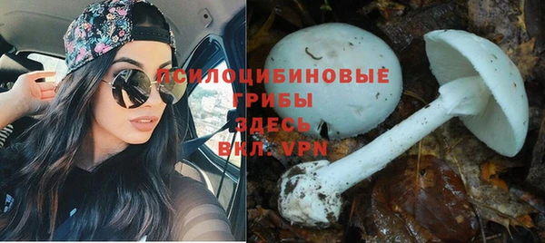 МДПВ Алзамай
