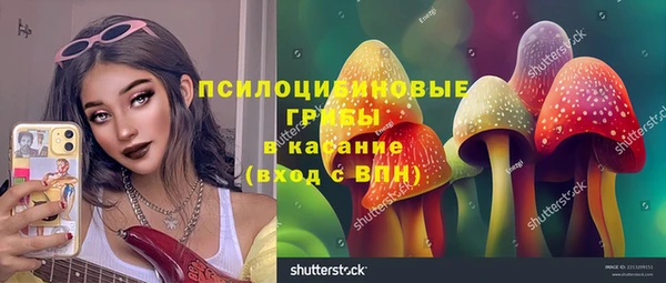 МДПВ Алзамай