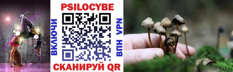 наркотики  Обоянь  Галлюциногенные грибы Psilocybine cubensis 